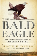 Cover: The Bald Eagle - Liveright