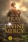 Cover: How to Pray the Chaplet of the Divine Mercy - Wyatt North