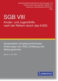 Bild: SGB VIII - Kinder- und Jugendhilfe nach der Reform durch das KJSG - Lambertus