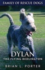 Cover: Dylan - The Flying Bedlington - Next Chapter