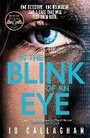 Cover: In The Blink of An Eye - Simon & Schuster Ltd