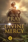 Cover: How to Pray the Chaplet of the Divine Mercy - Wyatt North Publishing
