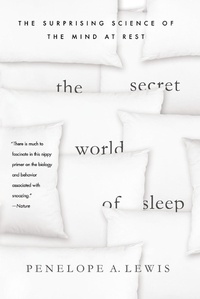 Abbildung von: The Secret World of Sleep - St. Martin's Press