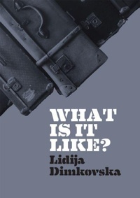 Enlarge image Cover: What Is It Like? - Wrecking Ball Press