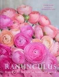 Abbildung von: Ranunculus - Pavilion
