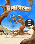Cover: Bristlecone: The Secret Life of the World's Oldest Tree - Web of Life Children's Books