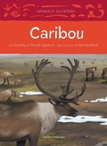 Cover: Caribou - Quebec Amerique