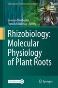 Cover: Rhizobiology: Molecular Physiology of Plant Roots - Springer