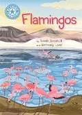 Cover: Reading Champion: Flamingos - Franklin Watts Ltd