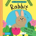 Cover: Rabbit - Campbell Books Ltd
