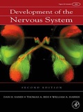 Cover: Development of the Nervous System - Academic Press