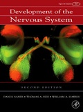 Cover: Development of the Nervous System - Academic Press