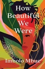 Cover: How Beautiful We Were - Canongate Books