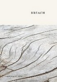 Enlarge image Cover: Breach - Boiler House Press