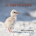 Cover: A Tale of a Tern - Nature Connections