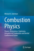 Bild: Combustion Physics - Springer