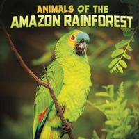 Enlarge image Cover: Animals of the Amazon Rainforest - Raintree