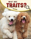 Cover: What Are Traits? - Raintree