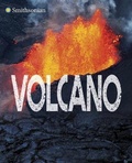 Cover: Volcano - Raintree