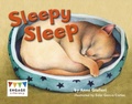 Cover: Sleepy Sleep - Raintree