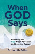 Cover: When God Says NO - Revealing the YES When Adversity and Lost Are Present - Mile High Press