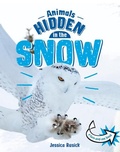 Cover: Animals Hidden in the Snow - Pebble Books