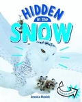 Cover: Hidden in the Snow - Stone Arch Books