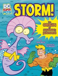 Enlarge image Cover: Storm! - Stone Arch Books