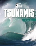 Cover: Tsunamis - Pebble Books