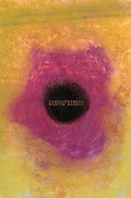 Cover: Consciousness - Spuyten Duyvil
