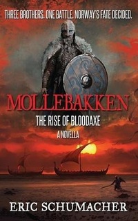 Abbildung von: Mollebakken - A Viking Age Novella - Next Chapter