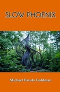 Cover: Slow Phoenix - Cyberwit.Net
