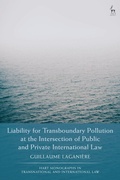 Abbildung von: Liability for Transboundary Pollution at the Intersection of Public and Private International Law - Hart Publishing