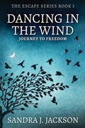 Cover: Dancing In The Wind - Next Chapter