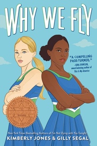 Enlarge image Cover: Why We Fly - Sourcebooks Fire