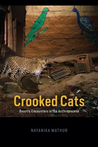 Enlarge image Cover: Crooked Cats - University of Chicago Press