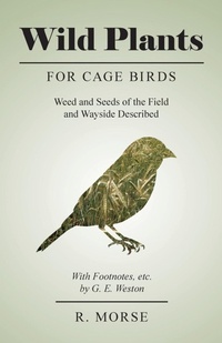 Abbildung von: Wild Plants for Cage Birds - Weed and Seeds of the Field and Wayside Described - With Footnotes, Etc., by G. E. Weston - READ COUNTRY BOOKS