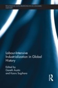 Cover: Labour-Intensive Industrialization in Global History - Routledge