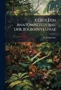 Cover: Ueber Den Anatomischen Bau Der Bolbophyllinae - Nabu Press