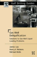 Cover: Gas Well Deliquification - Gulf Publishing