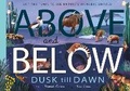 Cover: Above and Below: Dusk till Dawn - Little Tiger