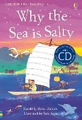 Cover: Why is the sea salty? - Usborne Publishing Ltd