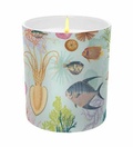 Cover: Art of Nature: Under the Sea Scented Glass Candle - Insight Luminaries