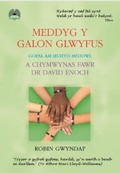 Cover: Meddyg y Galon Glwyfus - Gofal am Iechyd Meddwl a Chymwynas Fawr Dr David Enoch - Cyhoeddiadau'r Gair