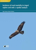 Cover: Incidence of road mortality in ringed raptors and owls: a spatial analysis. - British Trust for Ornithology
