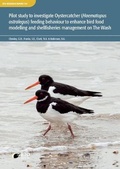 Cover: Pilot study to investigate Oystercatcher (Haematopus ostralegus) feeding behaviour to enhance bird food modelling and shellfisheries management on The Wash. - British Trust for Ornithology