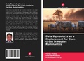 Cover: Data Byproducts as a Replacement for Corn Grain in Ra&ccedil;&otilde;es Ruminantes - Edi&ccedil;&otilde;es Nosso Conhecimento