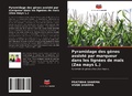 Cover: Pyramidage des g&egrave;nes assist&eacute; par marqueur dans les lign&eacute;es de ma&iuml;s (Zea mays L.) - Editions Notre Savoir