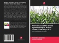 Cover: Marker Assisted Gene Pyramiding in Maize Lines (Zea mays L.) - Edi&ccedil;&otilde;es Nosso Conhecimento