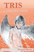 Cover: Tris 3 - Hide & Go Seek - Strategic Book Publishing